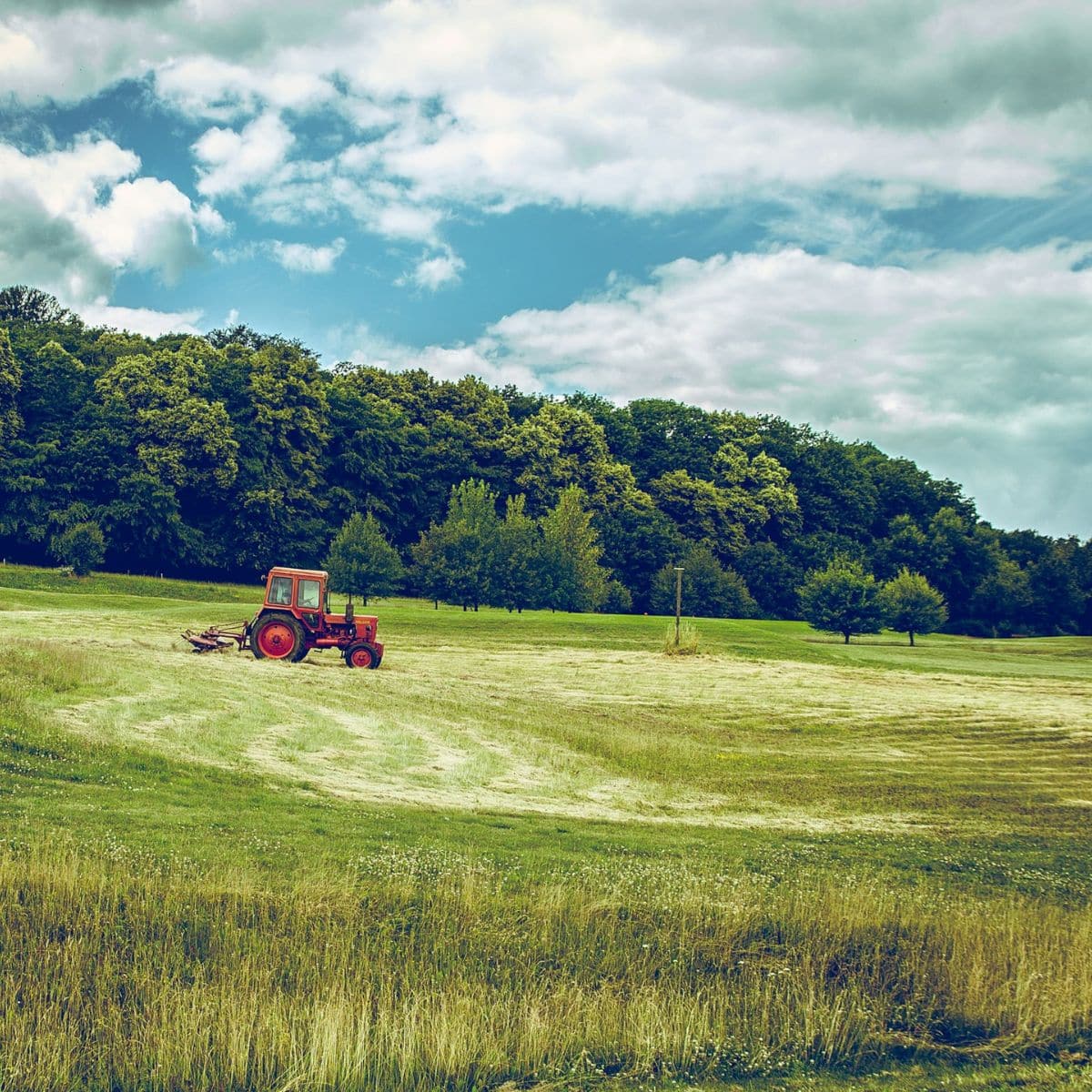 Migliori azioni agricoltura - agroalimentare